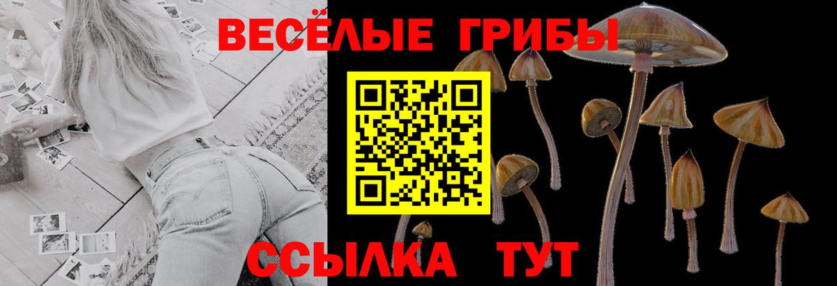 Галлюциногенные грибы Magic Shrooms  Вход с VPN  Галлюциногенные грибы мицелий  Можайск 